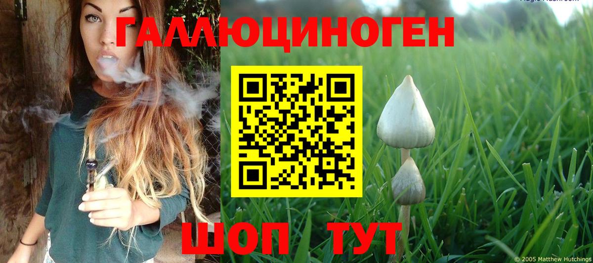 Псилоцибиновые грибы мухоморы Похвистнево